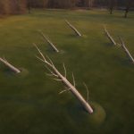 Echoes of the Forest environmental land art installation by FORMA Sculptures, featuring monumental timber trunks emerging from the landscape to symbolize memory, resilience, and the enduring relationship between nature and humanity.