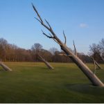 Echoes of the Forest environmental land art installation by FORMA Sculptures, featuring monumental timber trunks emerging from the landscape to symbolize memory, resilience, and the enduring relationship between nature and humanity.