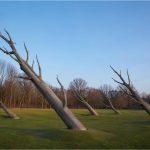 Echoes of the Forest environmental land art installation by FORMA Sculptures, featuring monumental timber trunks emerging from the landscape to symbolize memory, resilience, and the enduring relationship between nature and humanity.